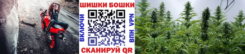 Купить закладки  Серпухов  Бошки марихуана SATIVA & INDICA 